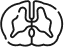 Anterior Cord Syndrome Icon