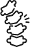 Brown-Séquard Syndrome Icon